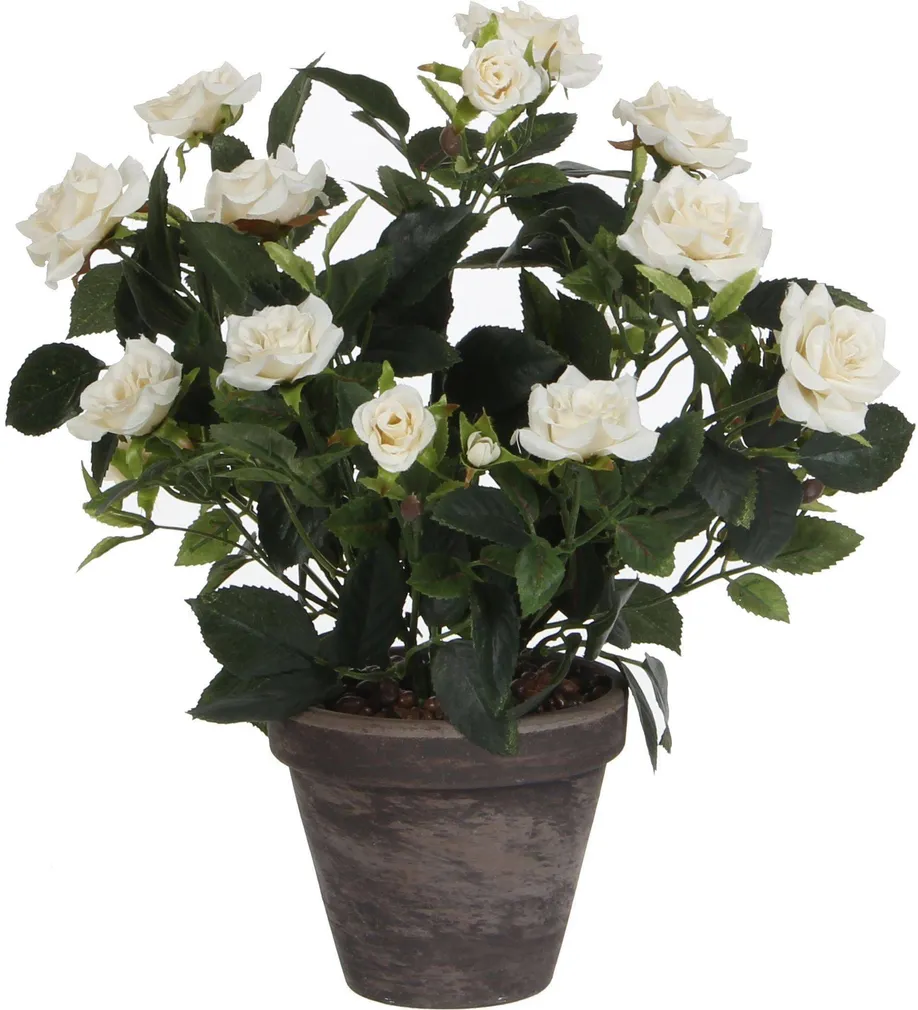 KUNSTLILL MICA DECORATIONS ROOSIPÕÕSAS Ø25X33CM POTIS Ø11,5 VALGE/HALL