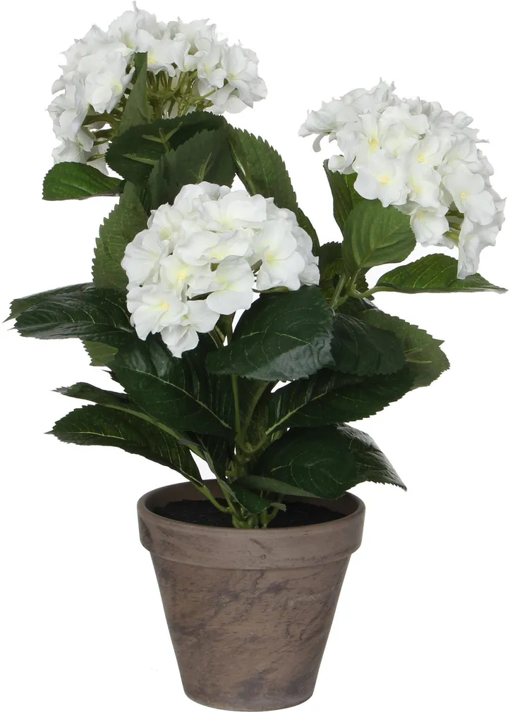 KUNSTLILL MICA DECORATIONS HORTENSIA Ø35X40CM POTIS Ø13,5 VALGE/HALL