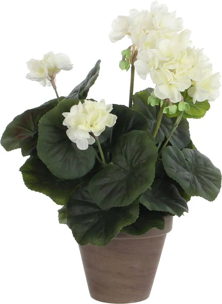 KUNSTLILL MICA DECORATIONS KUREREHA Ø20X34CM POTIS Ø11,5 CREAM/HALL