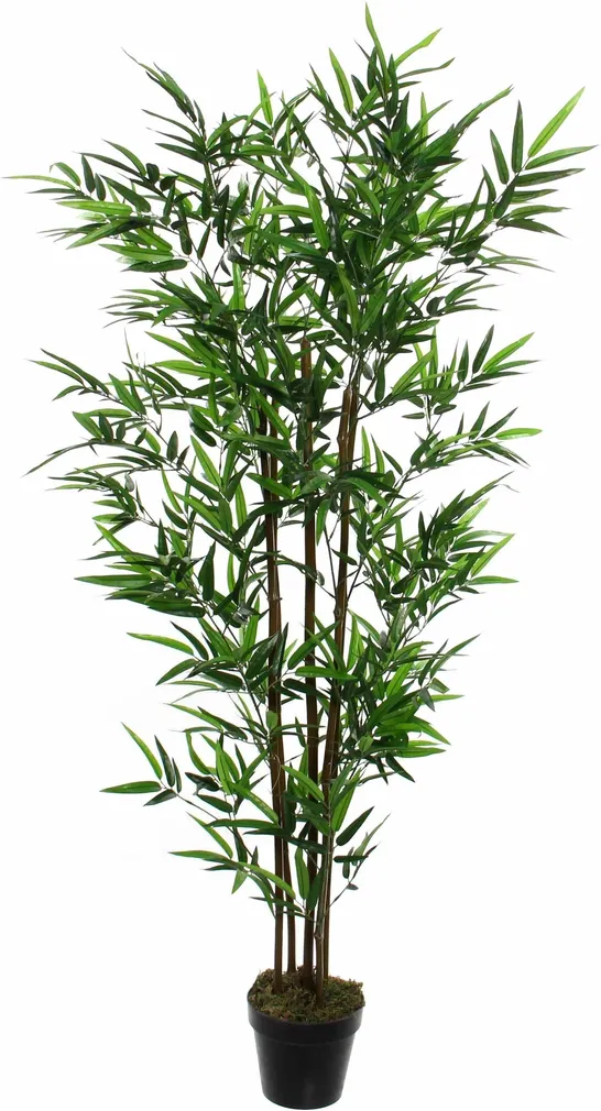 KUNSTLILL MICA DECORATIONS BAMBUS POTIS Ø90X155CM ROHELINE
