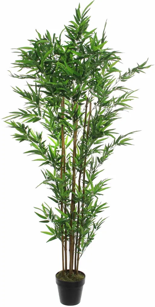 KUNSTLILL MICA DECORATIONS BAMBUS POTIS Ø60X180CM ROHELINE
