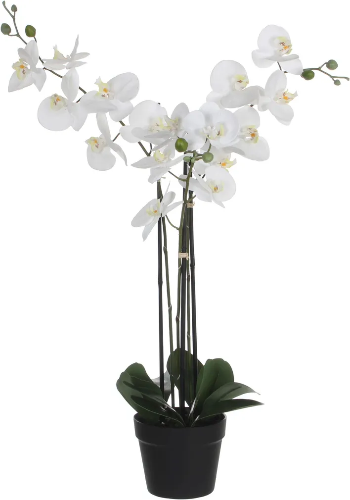 KUNSTLILL MICA DECORATIONS KUUKING POTIS 51X79X75CM VALGE