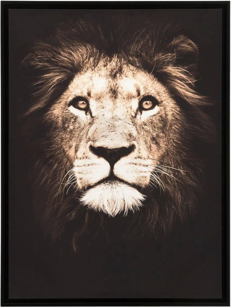 SEINAPILT 4LIVING LÕVI 57X77CM