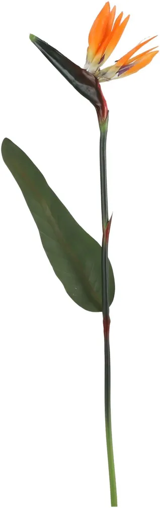 KUNSTLILL MICA DECORATIONS STRELITZIA 87CM ORANŽ