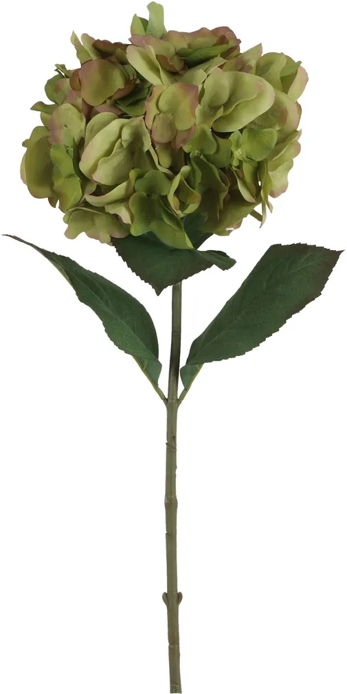 KUNSTLILL MICA DECORATIONS HORTENSIA 71CM ROHELINE