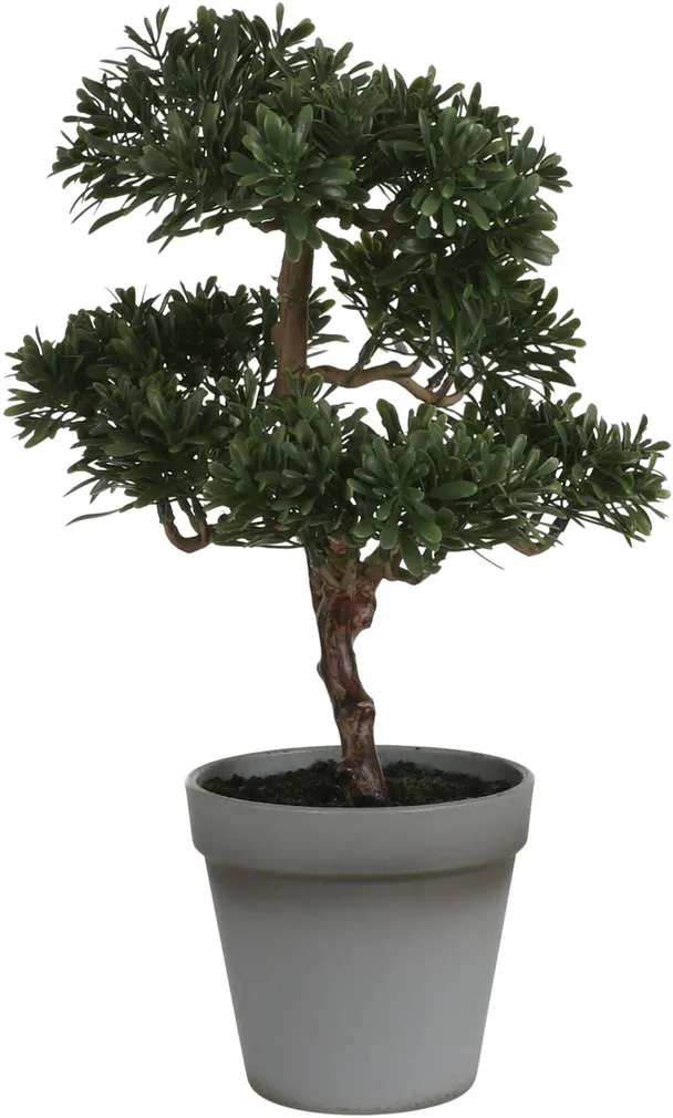 KUNSTTAIM MICA DECORATIONS BONSAI POTIS Ø25X32CM ROHELINE