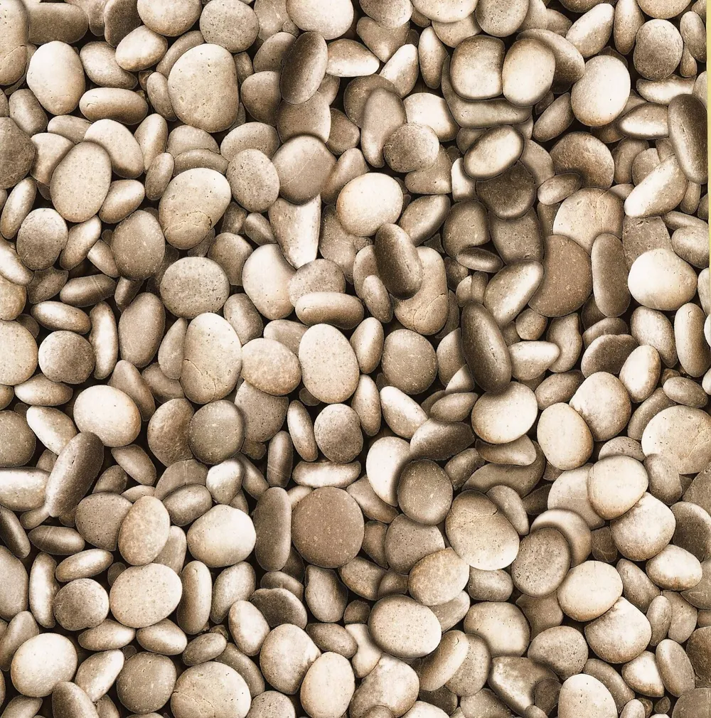 TAPEET DUTCH WALLCOVERINGS BE DIFFERENT BEEŽ KIVI 31042