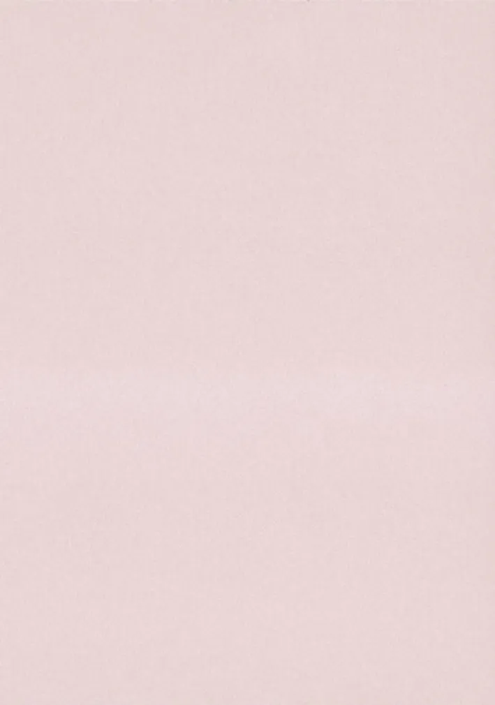 TAPEET DUTCH WALLCOVERINGS NON WOVEN ROOSA 371-39