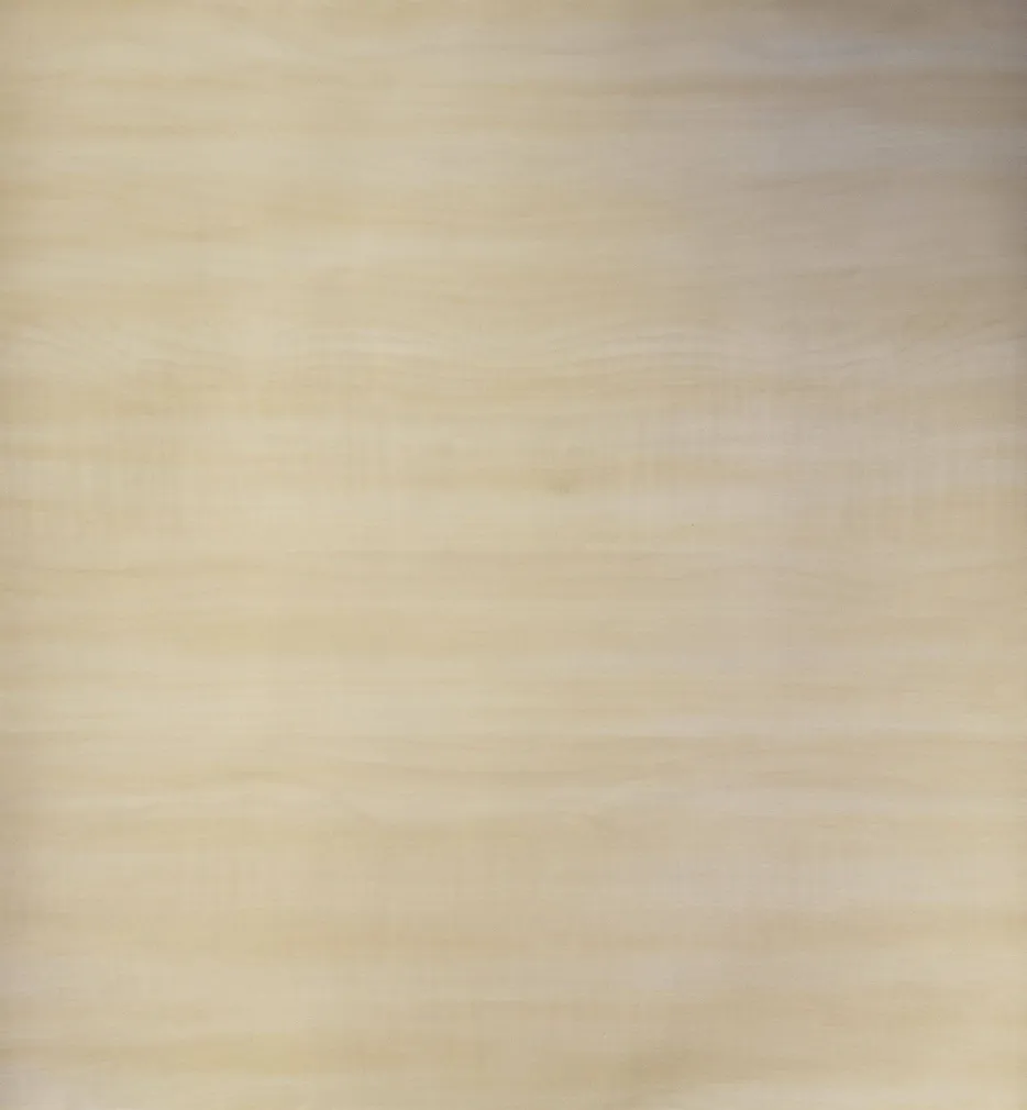 TAPEET DUTCH WALLCOVERINGS NON WOVEN BIRCH WHITE 7175-0