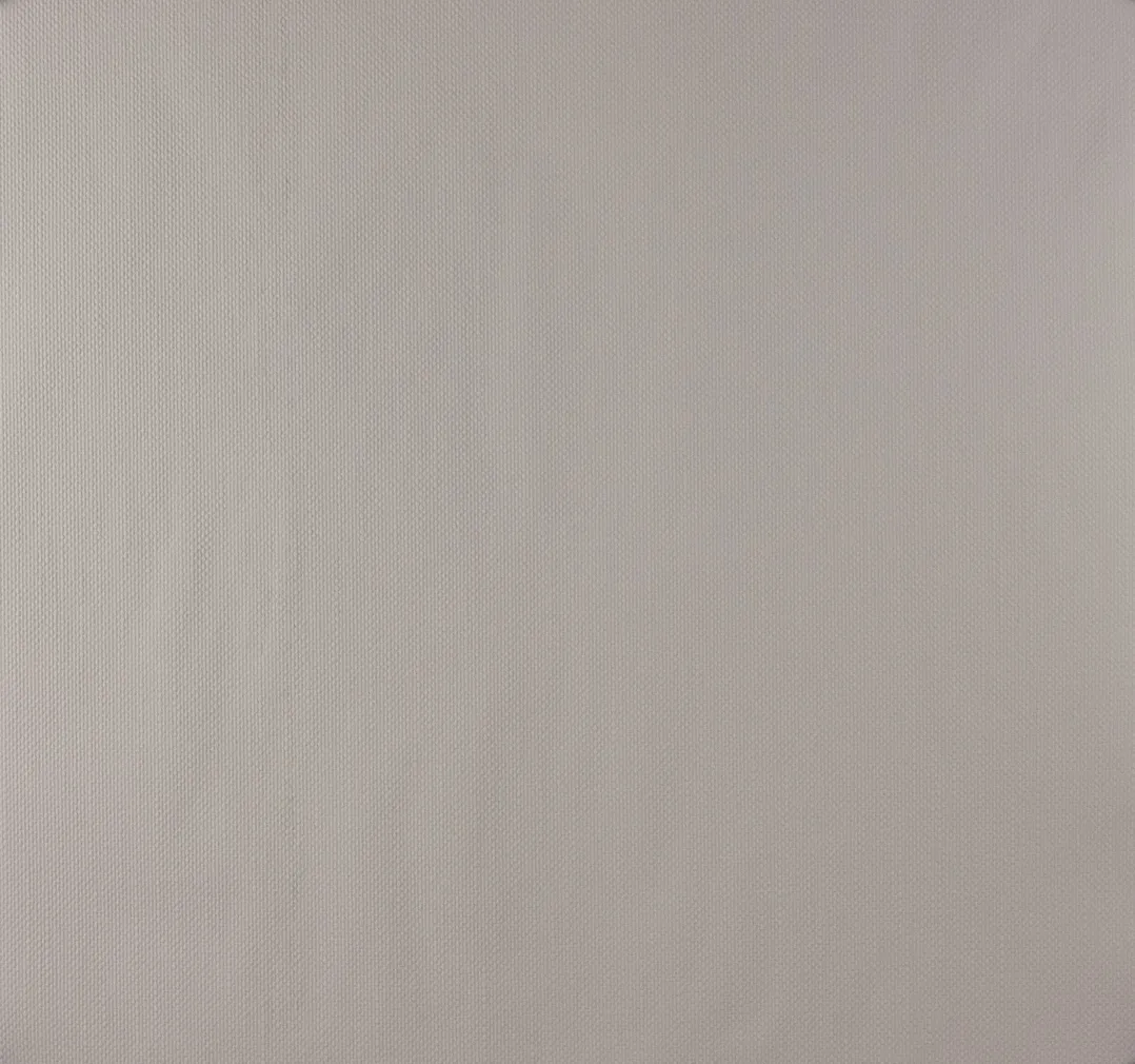 TAPEET DUTCH WALLCOVERINGS NON WOVEN VALGE 7317-0