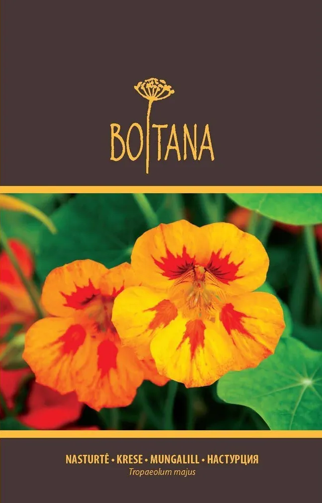 LILLESEEMNED BOTANA MUNGALILL, SUUREÕIELINE