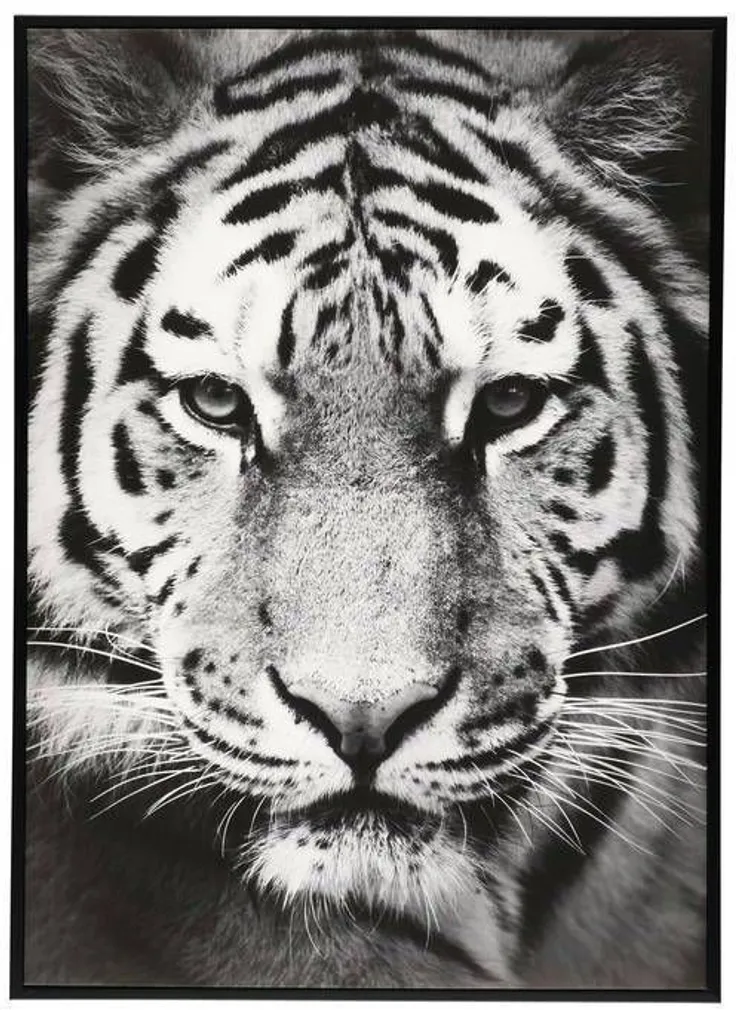SEINAPILT TIIGER 50X70CM