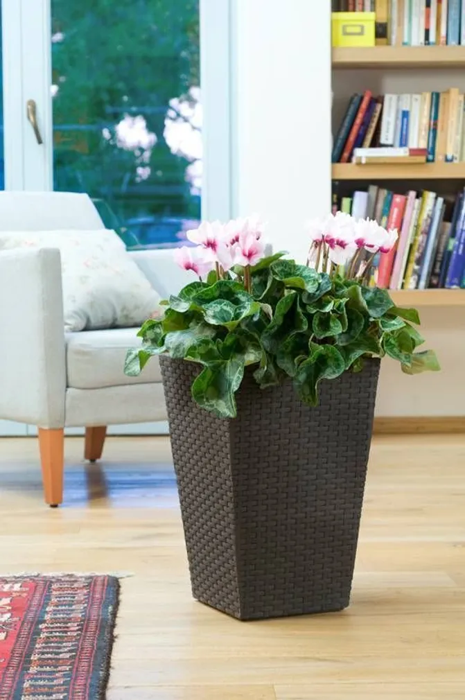 LILLEPOTIÜMBRIS S RATTAN 23,6L PRUUN