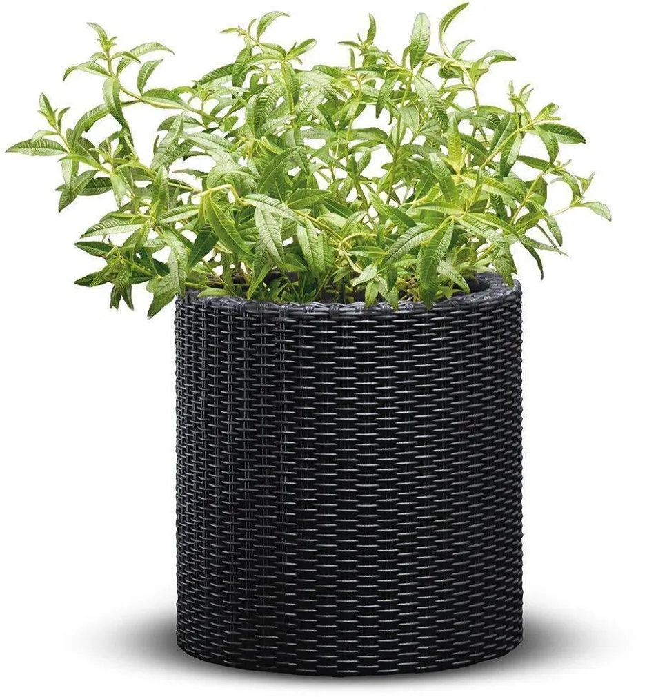 LILLEPOTIÜMBRIS CYLINDER 7L TUMEHALL