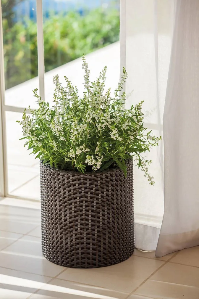 LILLEPOTIÜMBRIS CYLINDER 7L PRUUN