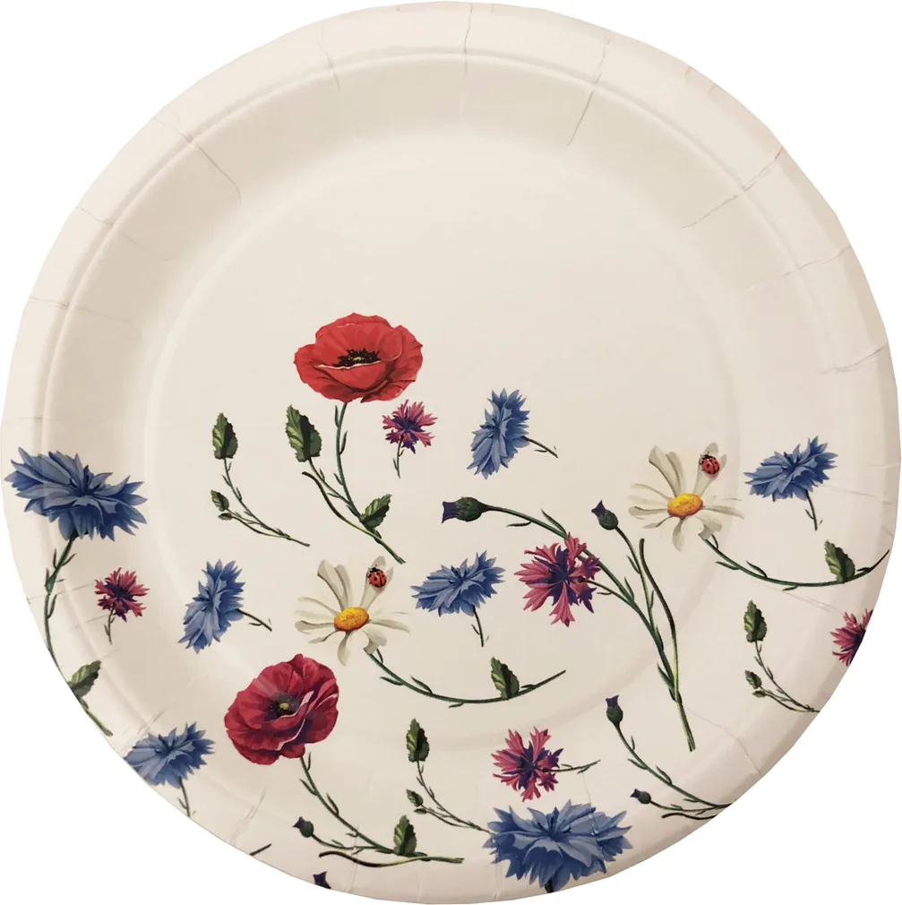 PAPPTALDRIK INICIO SWEDISH SUMMER 18CM 12TK PAKIS