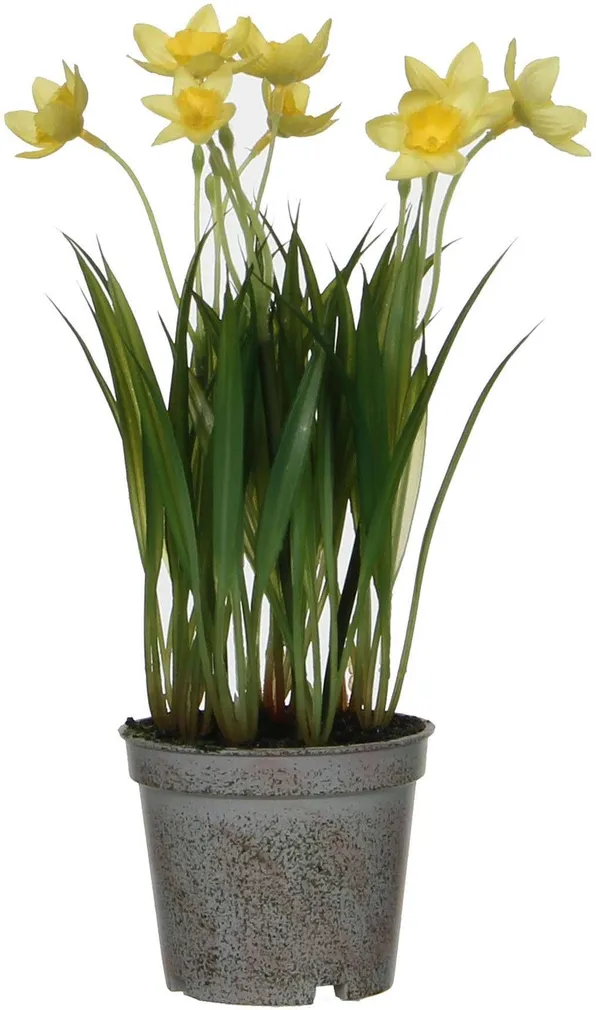KUNSTLILL MICA DECORATIONS NARTSISS PLASTPOTIS 26X9CM