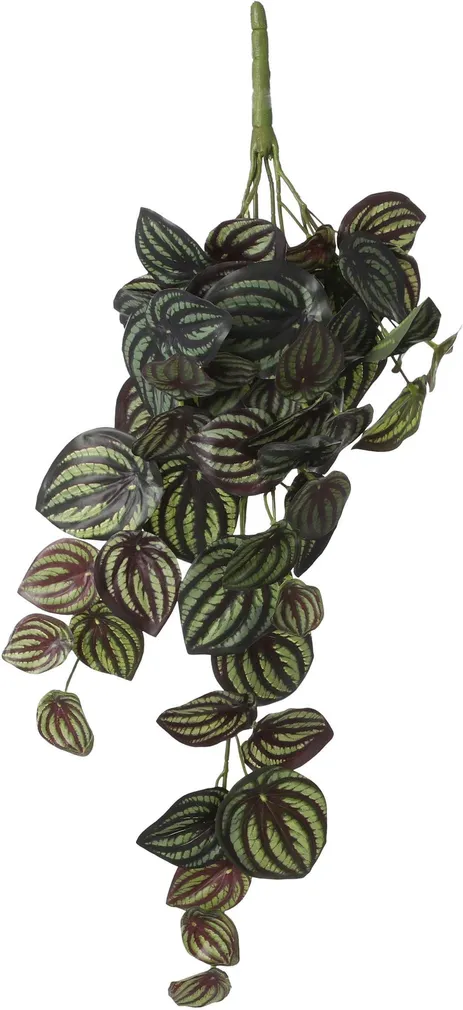 KUNSTLILL MICA DECORATIONS RIPUTATAV PEPEROOMIA 58X20X14CM