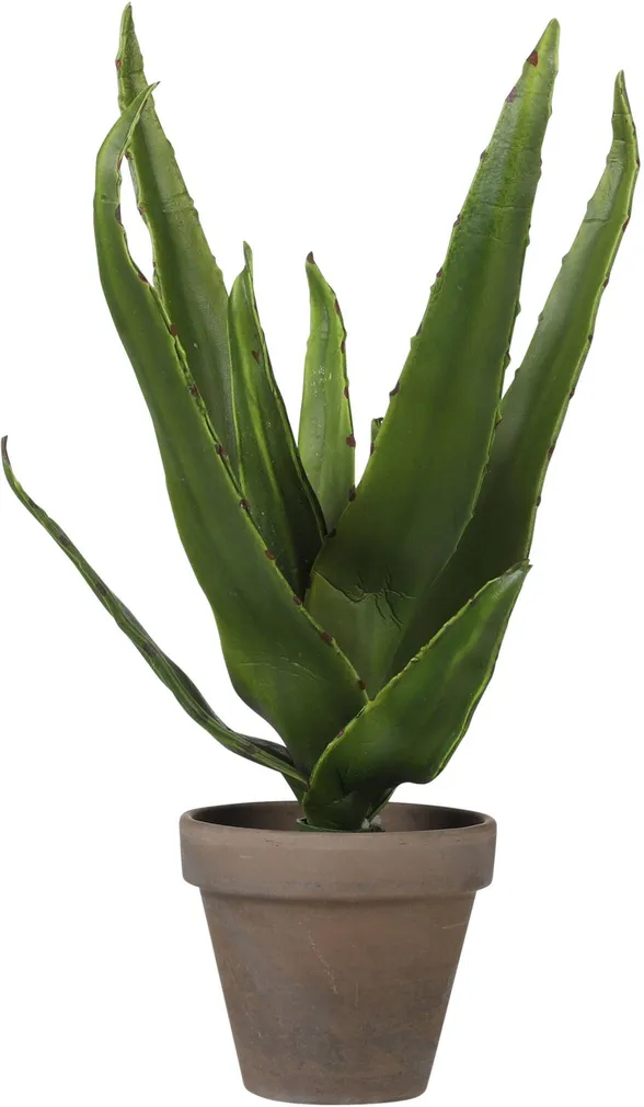 KUNSTLILL MICA DECORATIONS ALOE VERA POTIS 30X16CM