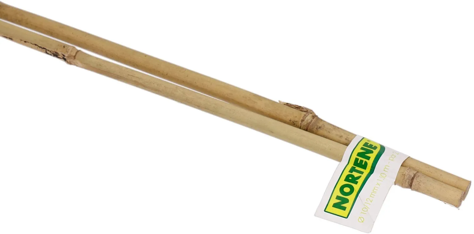 BAMBUSTOED 150CMX10-12MM 2TK PAKIS