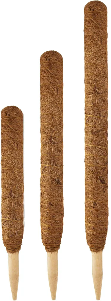 TAIMETUGI TARHA KOOKOSPOST PUIT OTSAGA 60X4,5CM