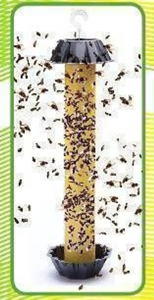 LIIMPÜÜNIS MKDS ÄÄDIKAKÄRBESTELE MAGNET DROSOPHILA BANANA