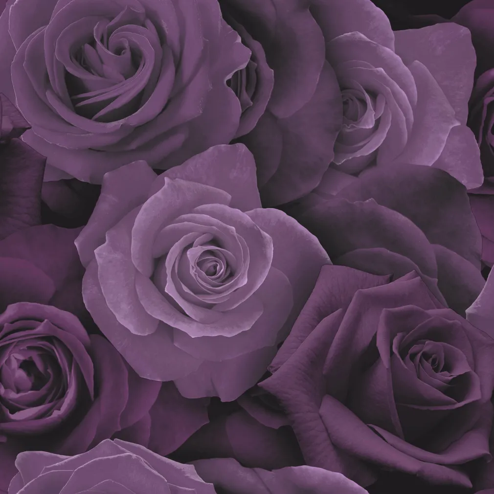TAPEET ARTHOUSE AUSTIN ROSE PURPLE