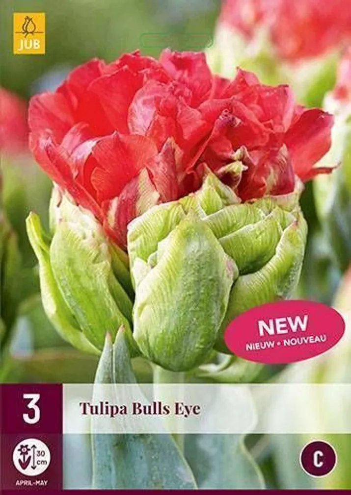 LILLESIBUL JUB TULP BULLS EYE 3TK PAKIS