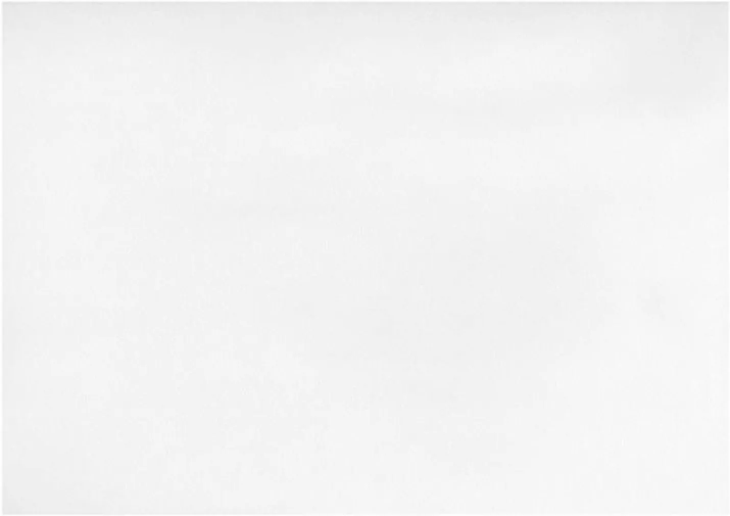 TAPEET DUTCH WALLCOVERINGS PAPIER UNI CREME