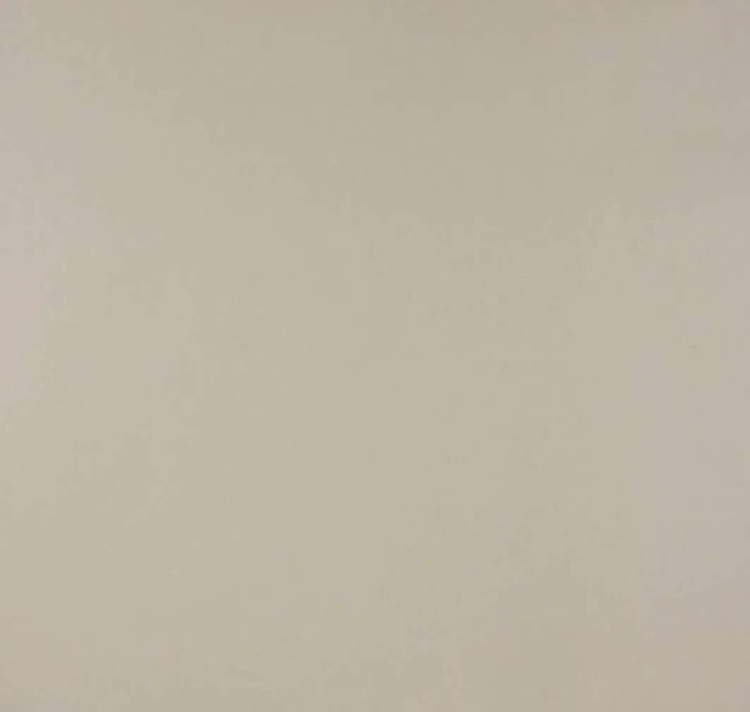 TAPEET DUTCH WALLCOVERINGS PAPIER UNI BEIGE