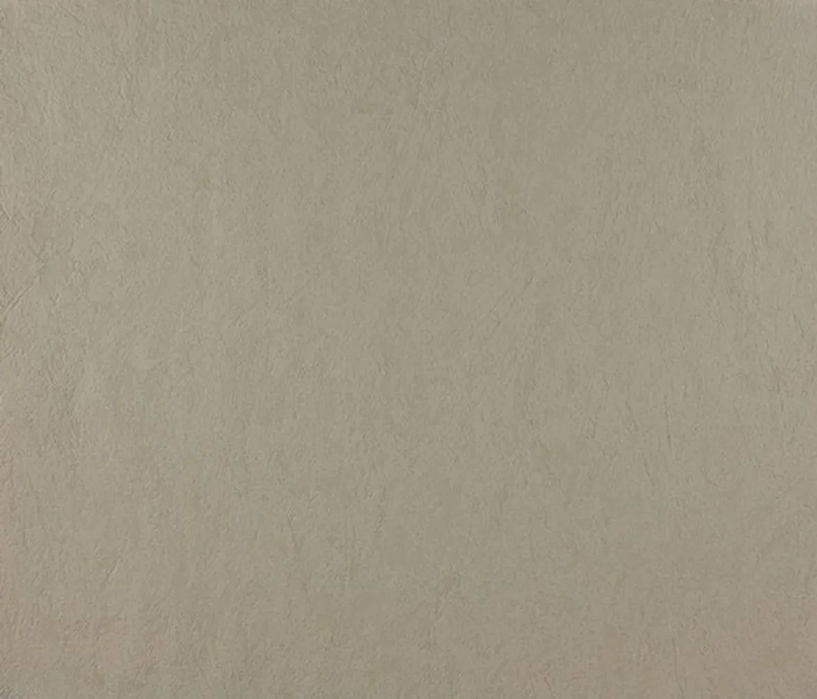 TAPEET DUTCH WALLCOVERINGS SCHUIMVINYL MEXICO BEIGE