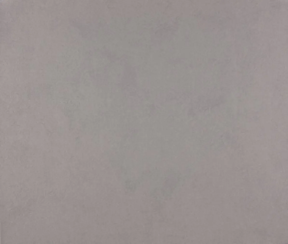 TAPEET DUTCH WALLCOVERINGS SCHUIMVINYL UNI LICHTBRUIN
