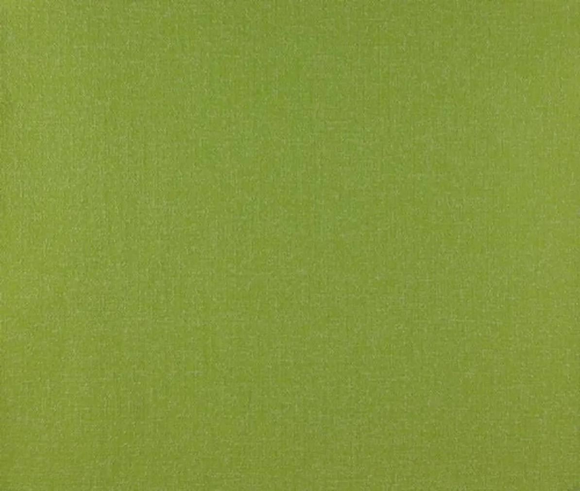 TAPEET DUTCH WALLCOVERINGS SCHUIMVINYL UNI LIMEGROEN