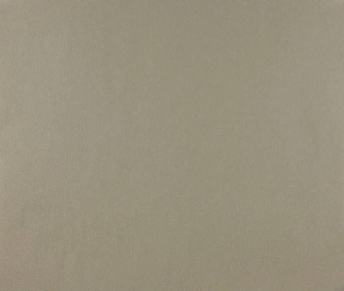 TAPEET DUTCH WALLCOVERINGS VLIESBEHANG UNI CREME