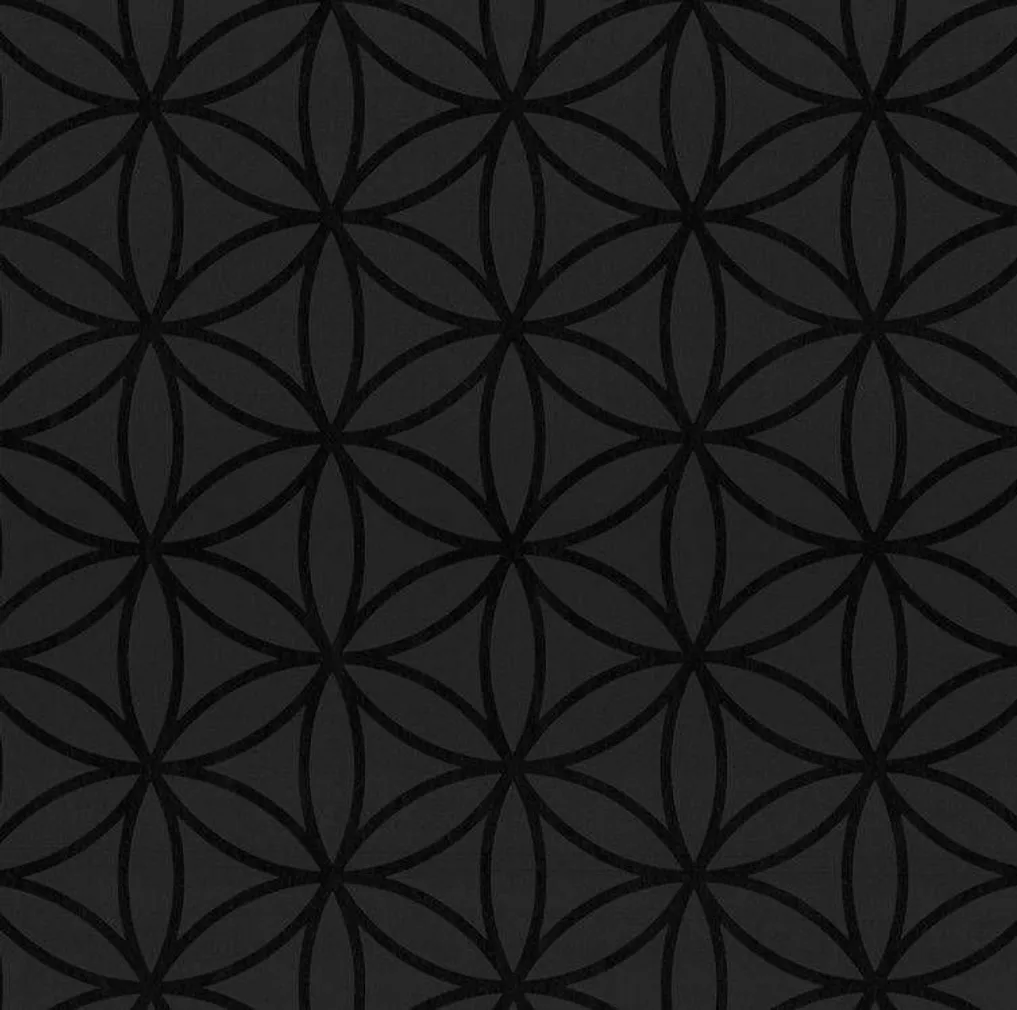 TAPEET DUTCH WALLCOVERINGS VLIESBEHANG CIRKEL ZWART