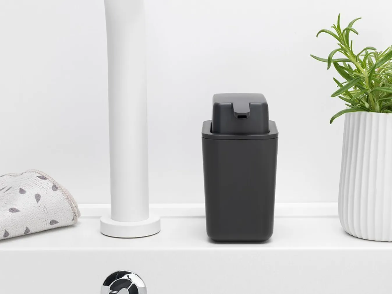 SEEBIDOSAATOR BRABANTIA TUMEHALL