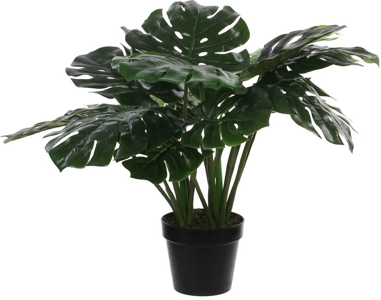 KUNSTLILL MICA DECORATIONS MONSTERA 60X80CM