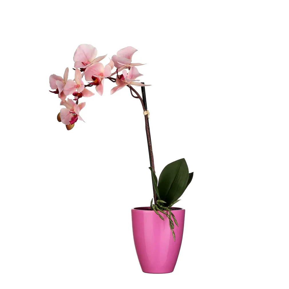 KUNSTLILL MICA DECORATIONS KUUKING ROOSA 42X10CM