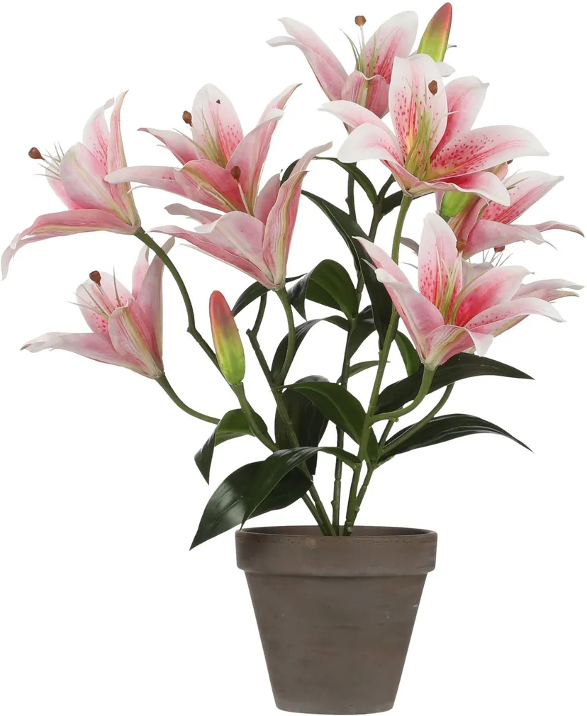 KUNSTLILL MICA DECORATIONS TIIGER LIILIA ROOSA 47X45CM