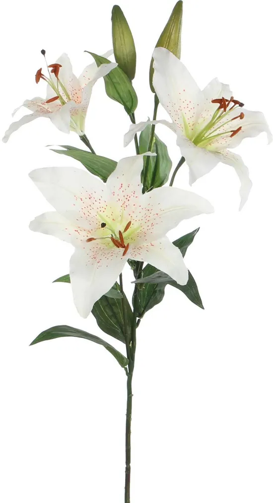 KUNSTLILL MICA DECORATIONS LIILIA 'STARGAZER' 75CM