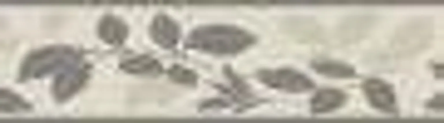 BORDÜÜR MARBURG MRB79434