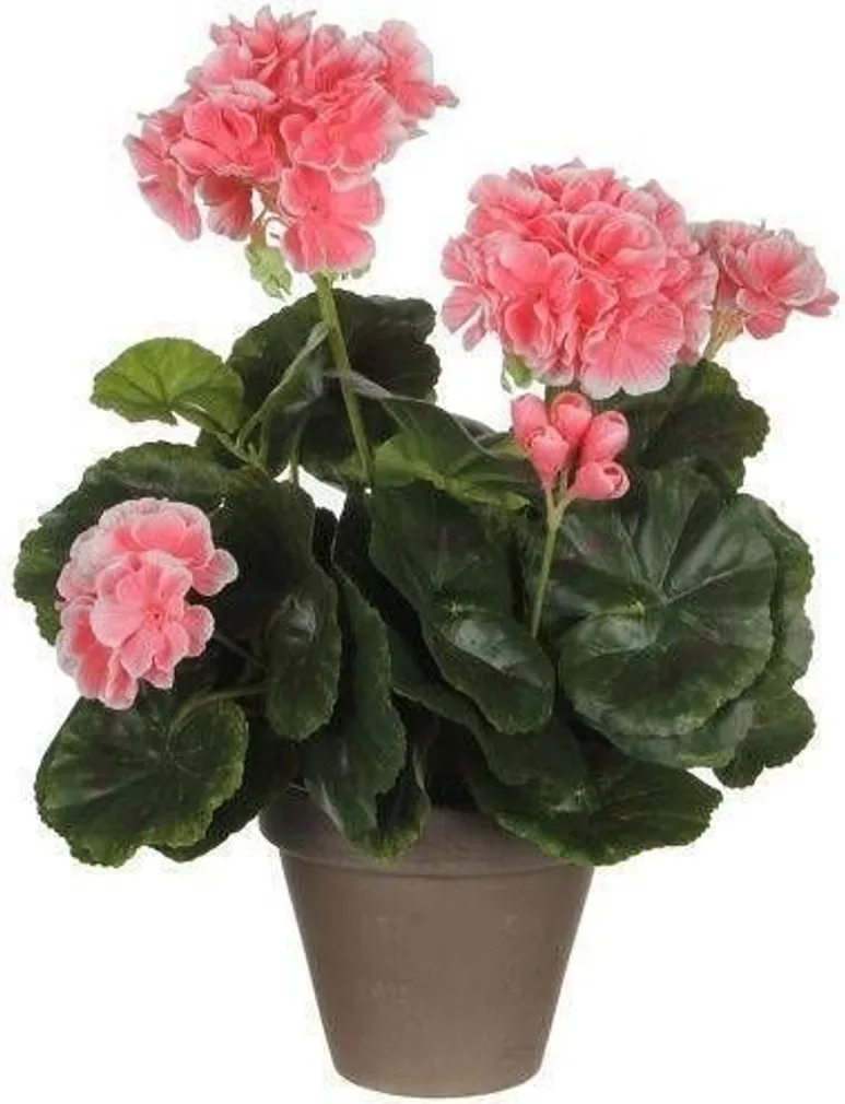 KUNSTLILL POTIS MICA DECORATIONS VIRSIK 34X20CM