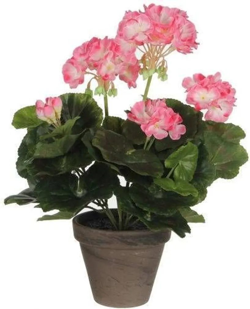 KUNSTLILL POTIS MICA DECORATIONS VALGEROOSA 34X20CM