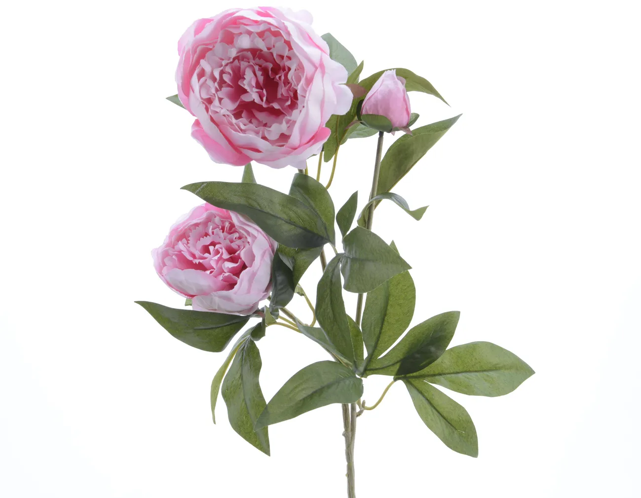 KUNSTLILL EVERLANDS POJENG 75CM, POLÜESTER ROOSA