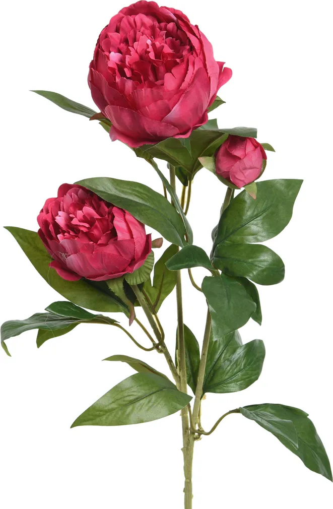 KUNSTLILL EVERLANDS POJENG 75CM, POLÜESTER FUKSIA
