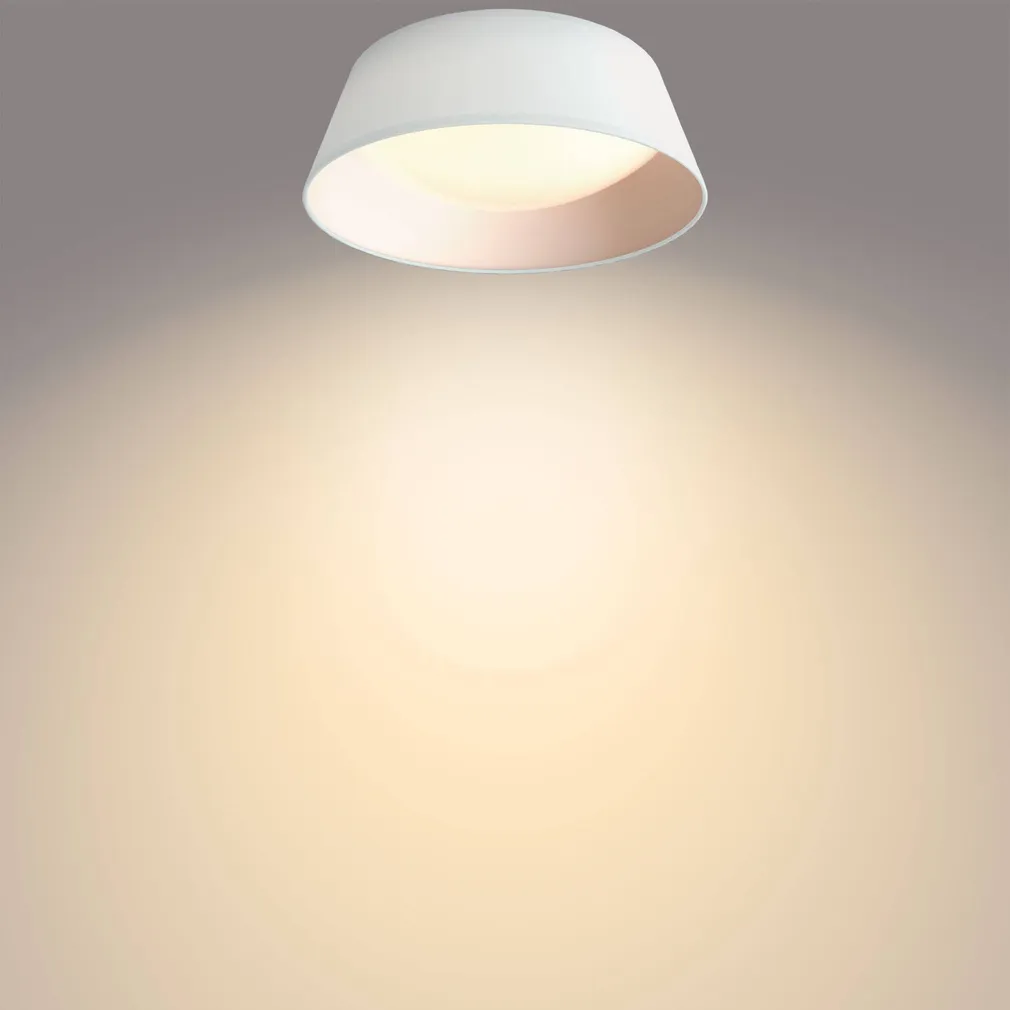 DAWN LAEVALGUSTI PHILIPS 14W 3000K VALGE