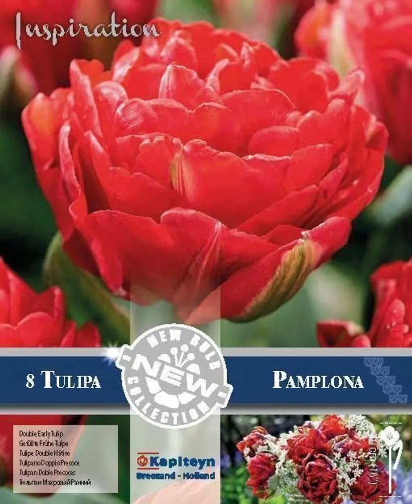 LILLESIBUL KAPITEYN HILINE TÄIDISÕIELINE TULP "PAMPLONA" 8TK PAKIS