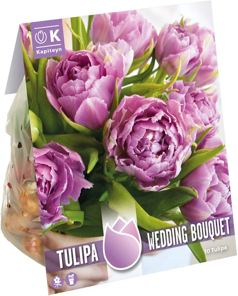 LILLESIBUL KAPITEYN TÄIDISÕIELINE TULP "WEDDING BOUQUET" 10TK PAKIS