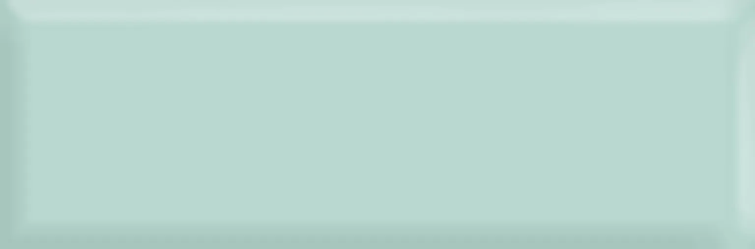 SEINAPLAAT GOLDEN TILE THE WALL MINT RELJEEF GLOSSY 10X30CM 0,84M² PAKIS