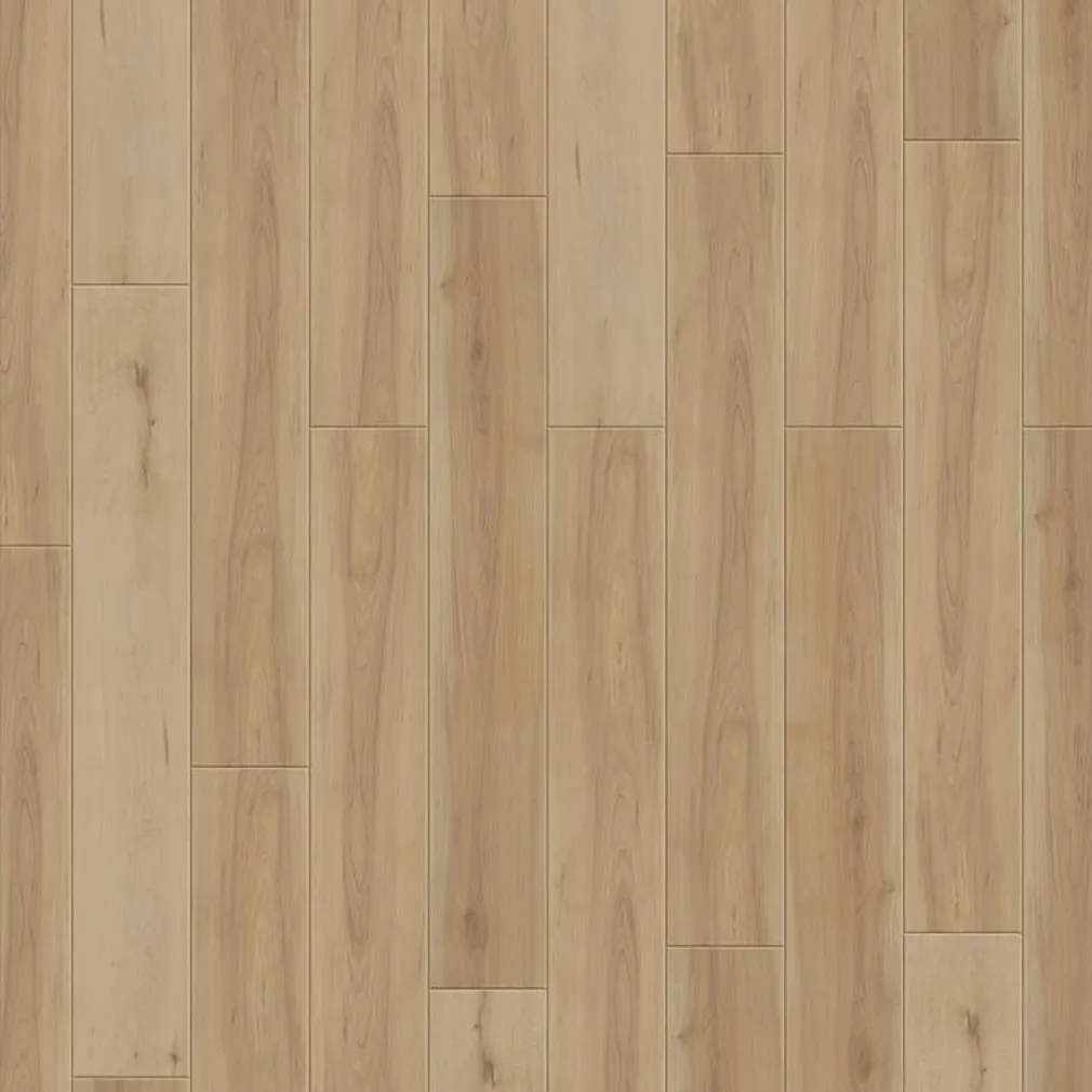 VINÜÜLPARKETT TARKETT STARFLOOR CLICK 20 BEECH NATURAL